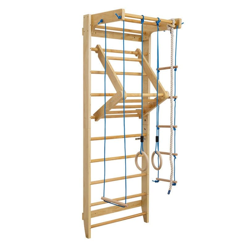 Swedish Ladder with Playground Accessories