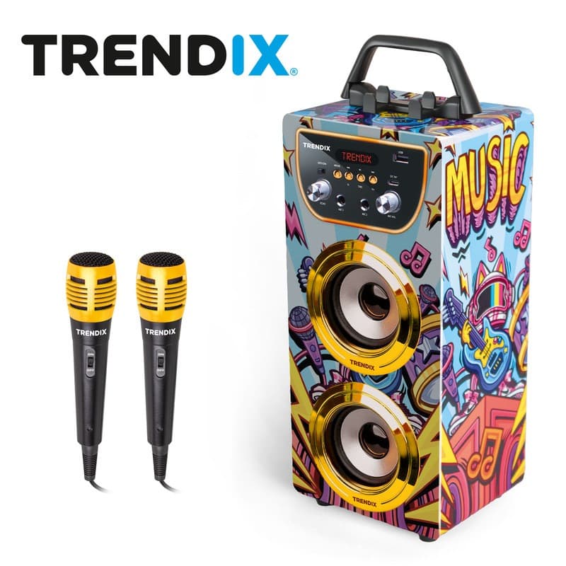 Karaoke Golden Star 2 Microphones thumbnail 2